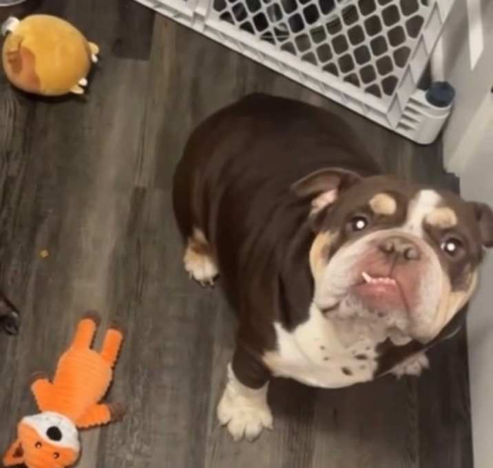 Photo of Chanel