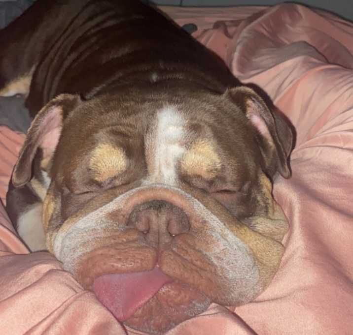 Photo of Chanel