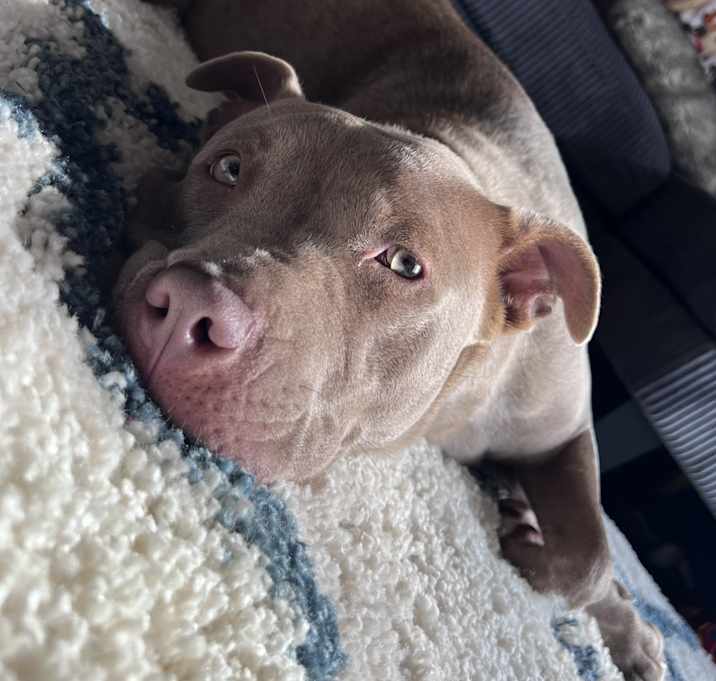Photo of Zora
