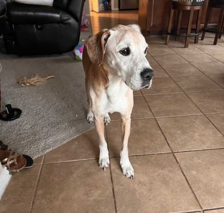 Photo of Jaxson
