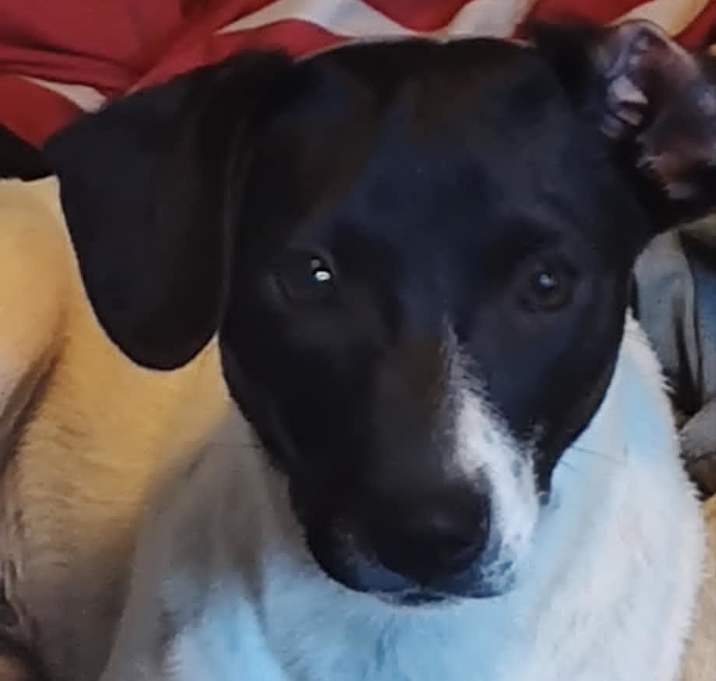 Photo of Lily