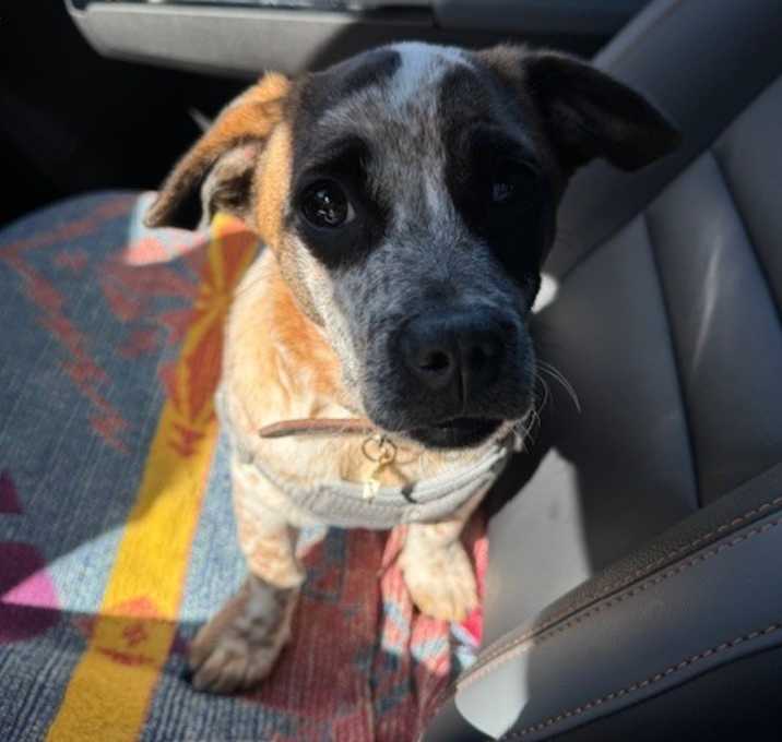 Photo of Duke