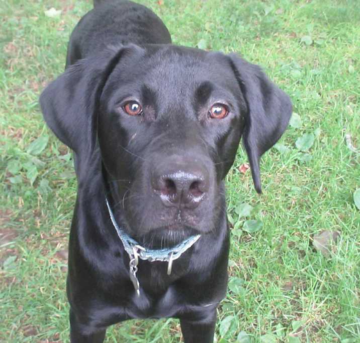 Photo of Jett