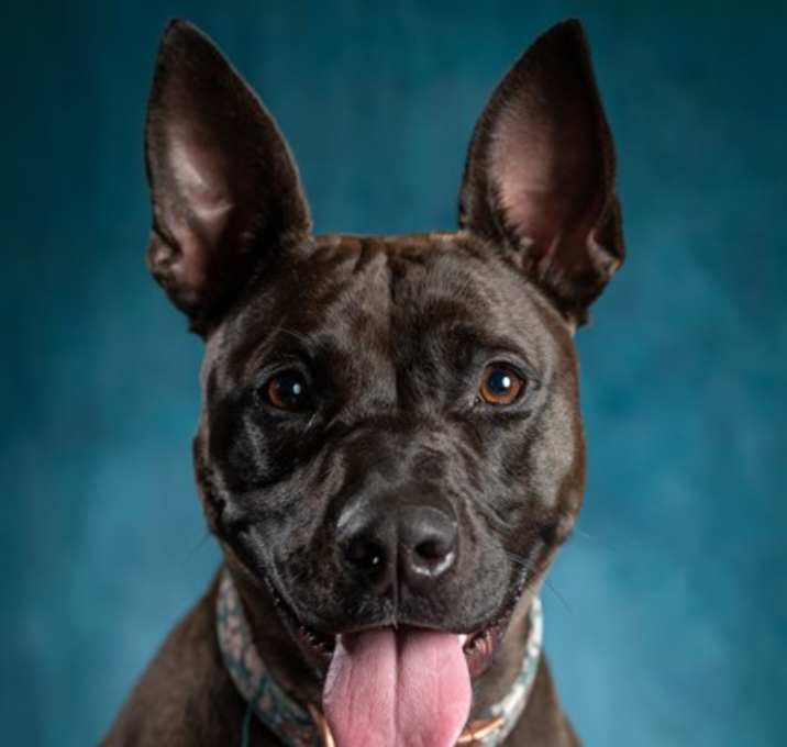 Photo of Shenzee