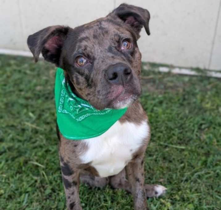 Photo of Wizard