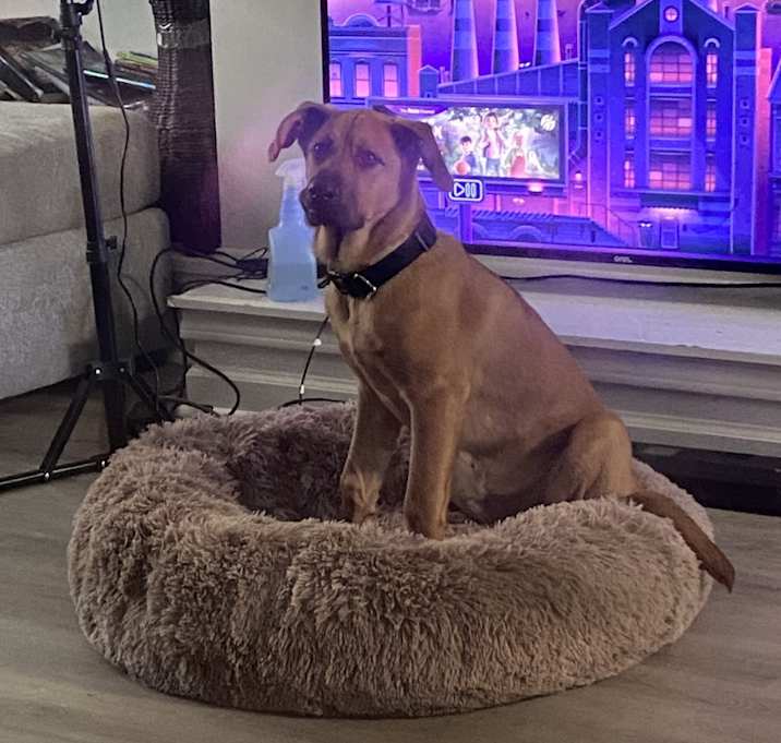 Photo of Marlo