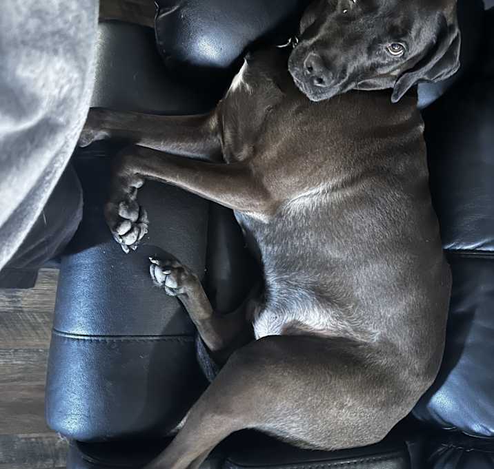 Photo of Mack