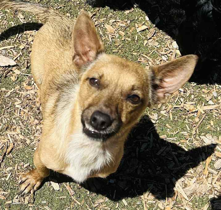 Photo of Twila