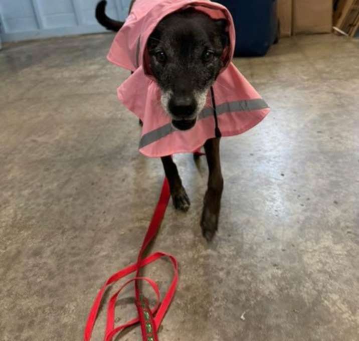 Photo of matilda