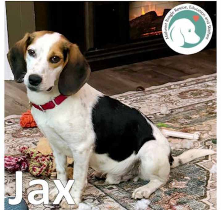 Photo of Jax