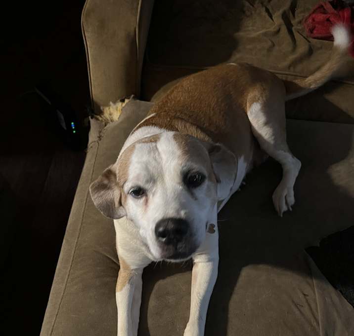 Photo of Mable