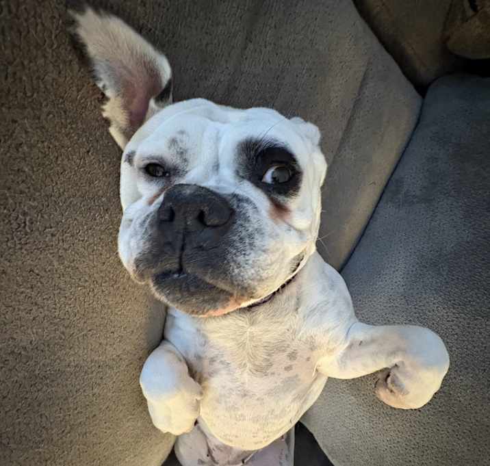 Photo of Betty