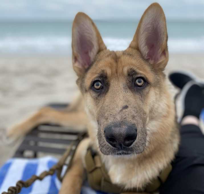 Photo of Zeus