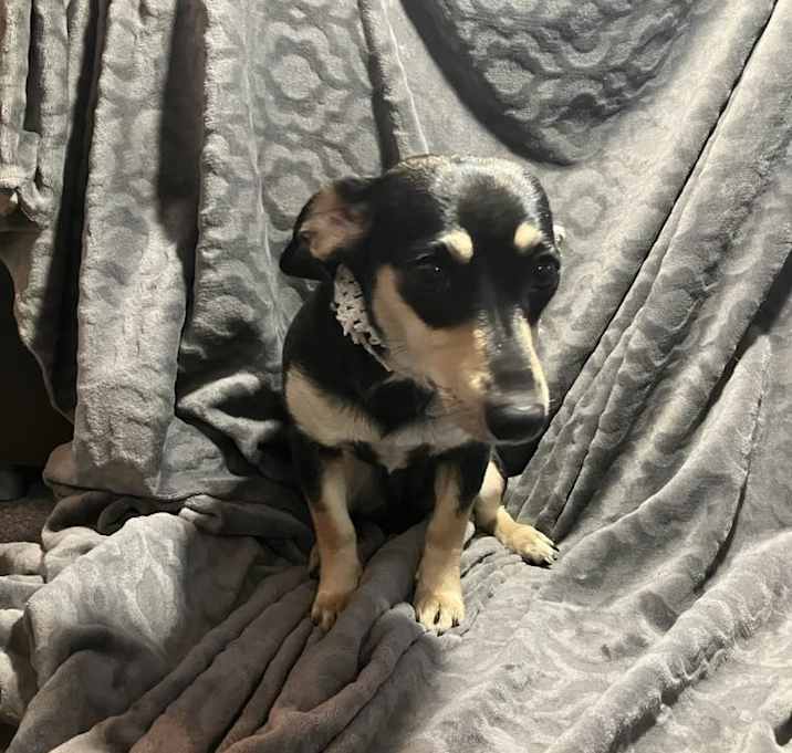 Photo of Mia