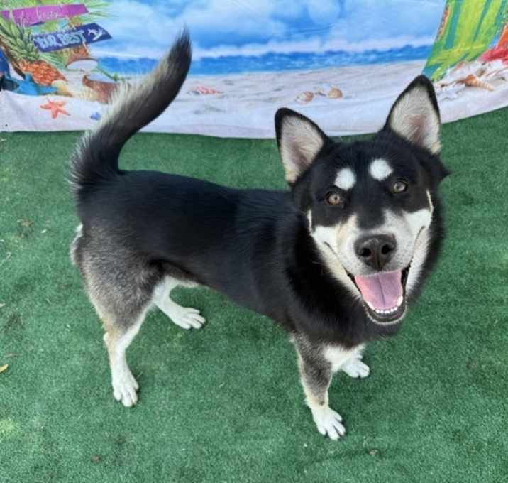 Photo of Morty