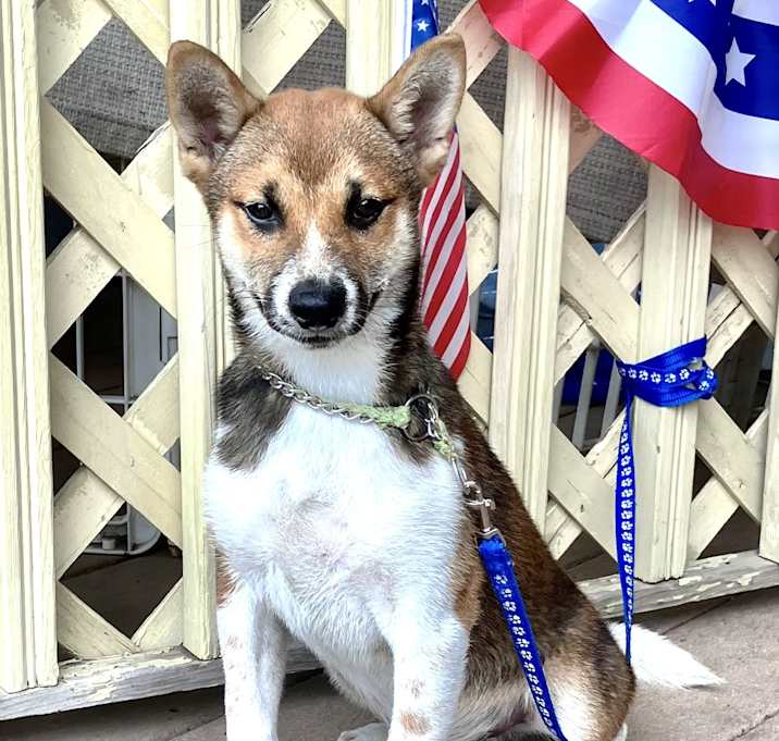 Photo of Cheech