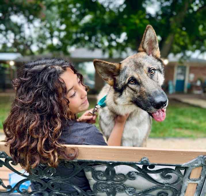 Photo of Woodrow Wallace the Wise and Wonderful Wolfie