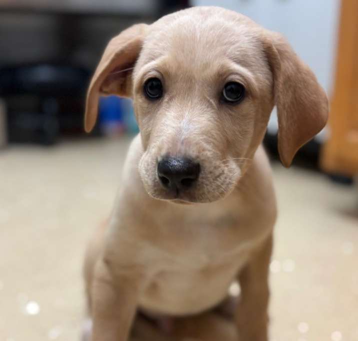Photo of Hiro