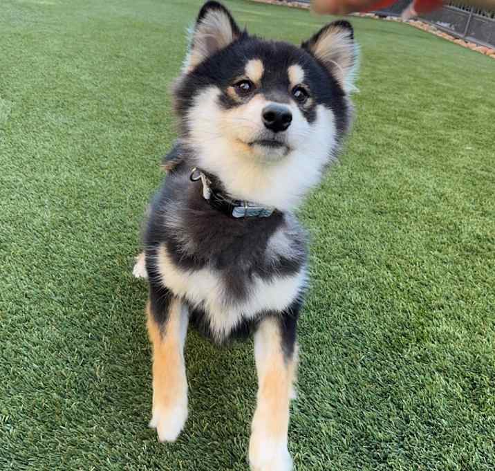 Photo of Yide