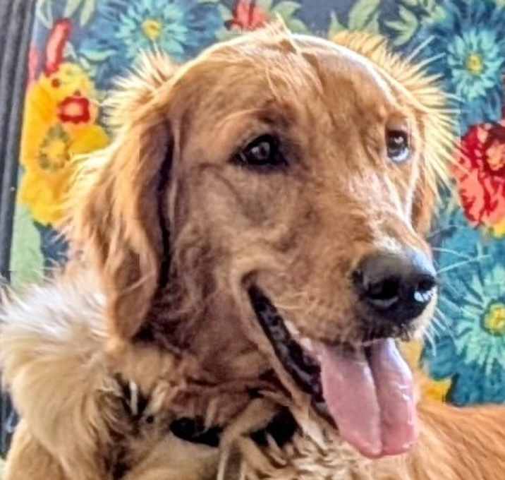 Photo of Mollie