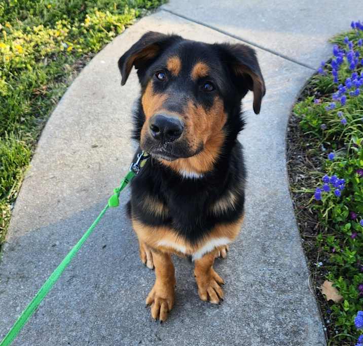 Photo of Marlowe