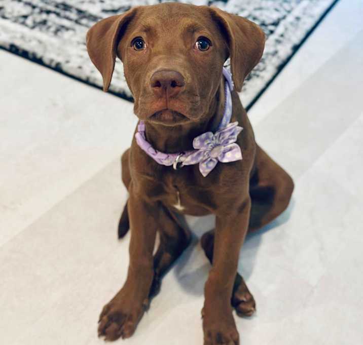 Photo of Cinnamon