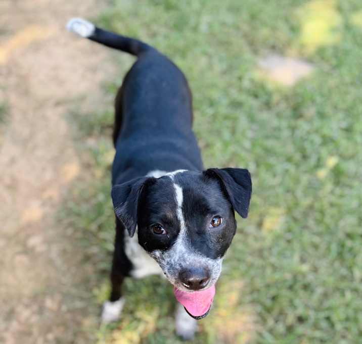 Photo of Nikki (Teva)