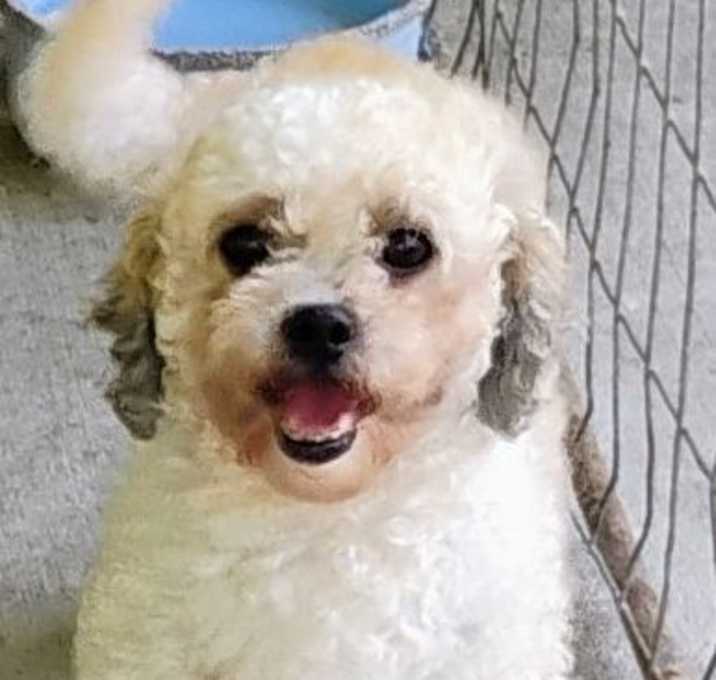 Photo of Shelly