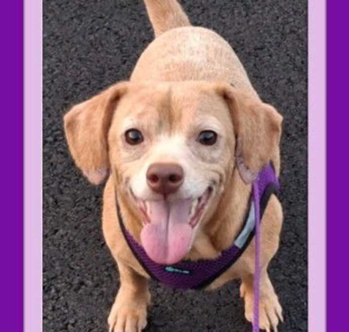 Photo of FIONA