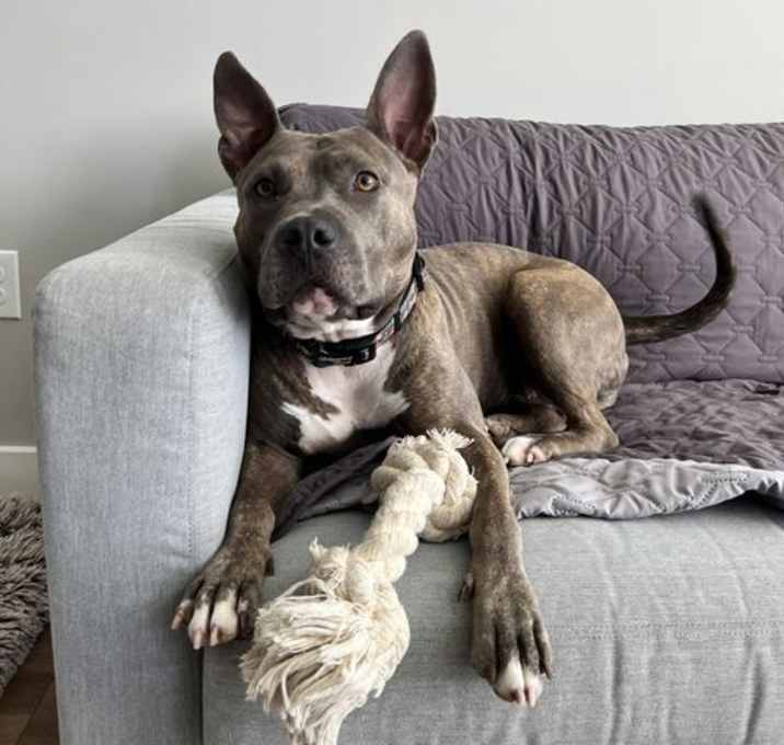 Photo of Elsie