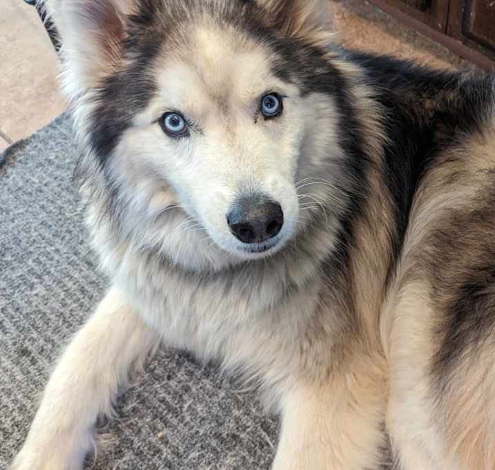 Photo of Jack