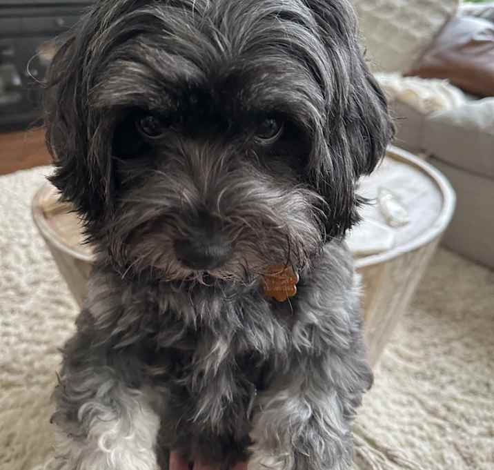 Photo of Hershey