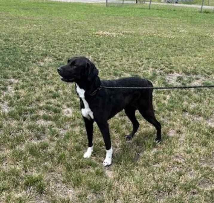 Photo of Esther