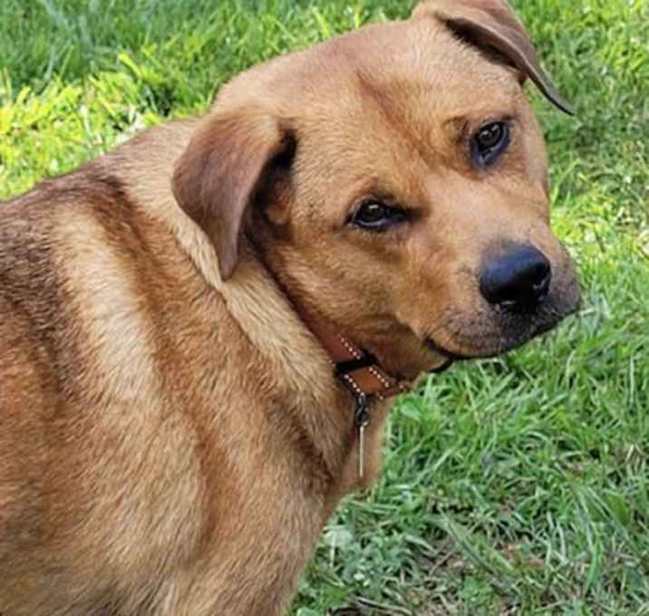 Photo of Rhea
