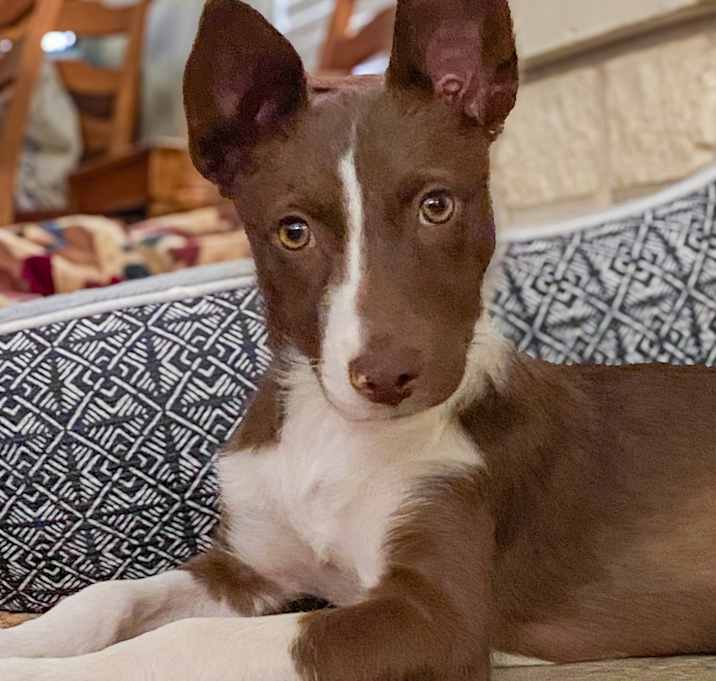 Photo of Meg