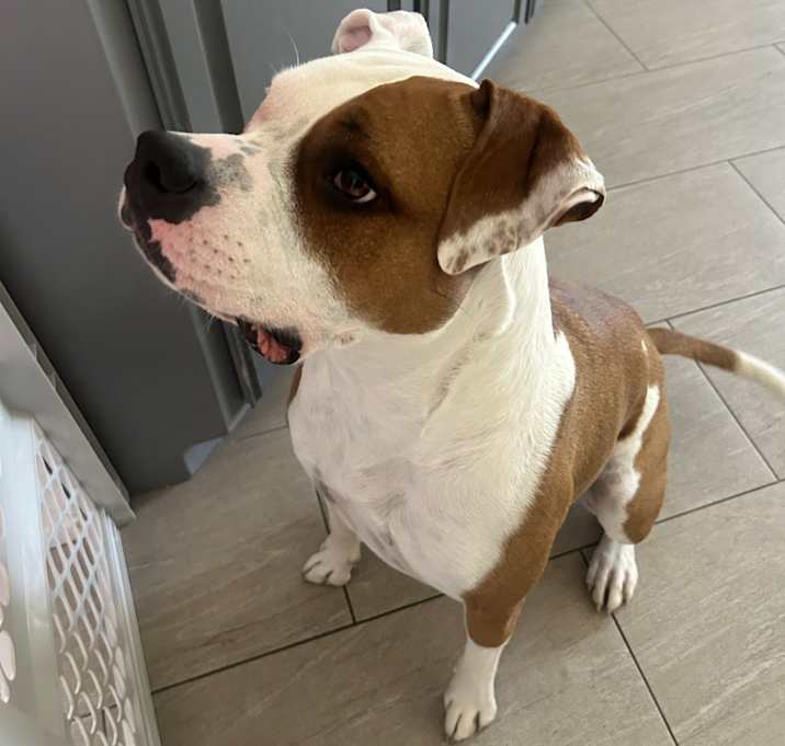 Photo of Lucy