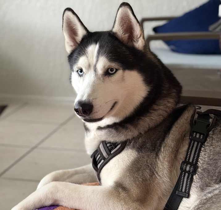 Photo of Zeus