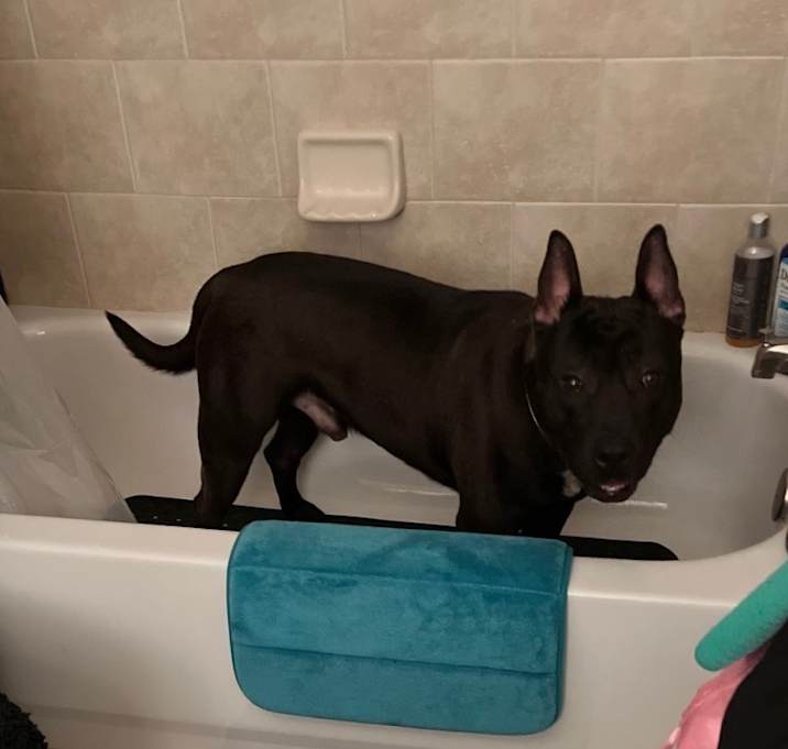 Photo of ROSCOE