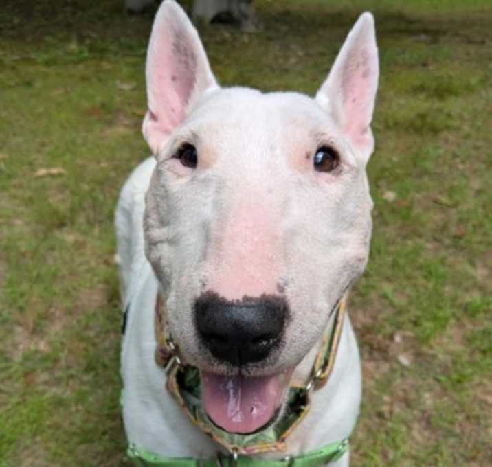 Photo of Diamond