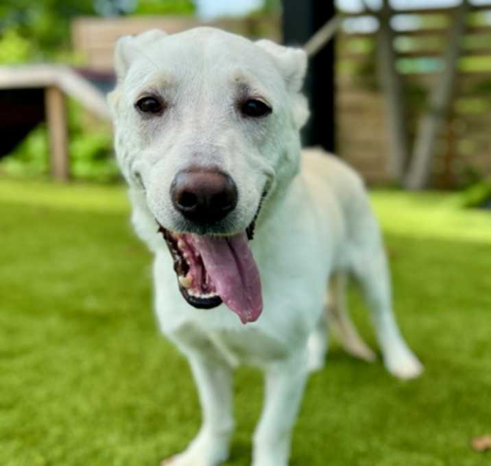 Photo of Junior