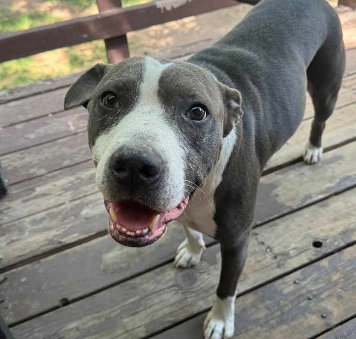 Photo of Bug