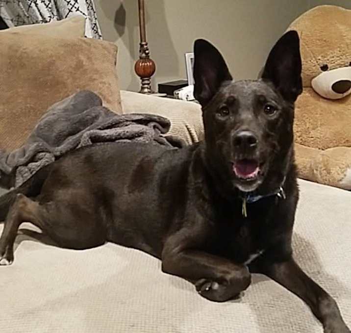 Photo of Abby