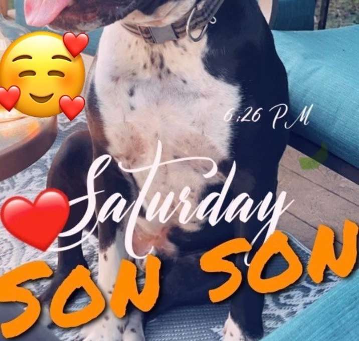 Photo of Brody