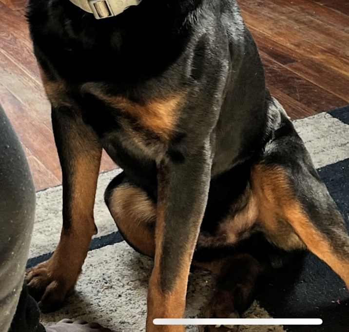 Photo of Joker