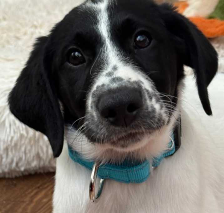 Photo of Maggie