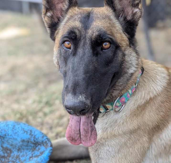 Photo of Canela
