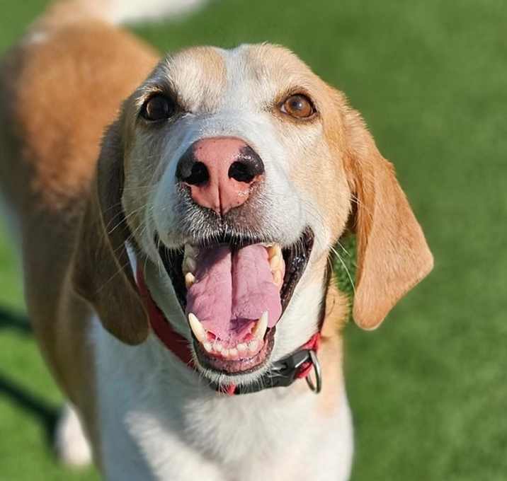Photo of Tracker