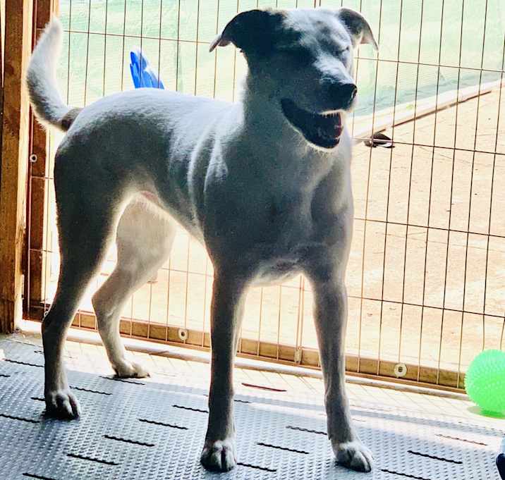 Photo of Echo