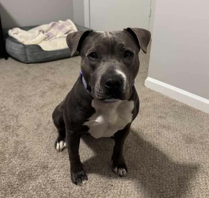 Photo of Storm