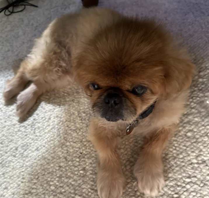 Photo of WHITNEY